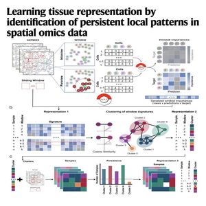 1145-Kasumi: Learning Persistent Patterns in Spatial Data