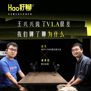 王兴兴说了VLA很差，我们聊了聊为什么｜Hao好聊 X 赵昊
