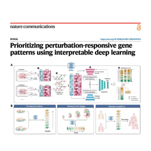 525-River：利用深度学习识别差异空间表达模式基因