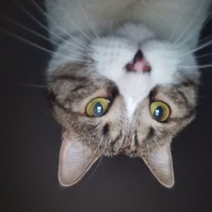 podcaster-avatar