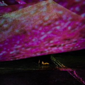 EP.21 皮皮乐迪 里斯特：掌心宇宙 陌生人的亲密感