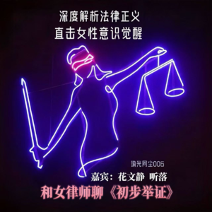 006.和女律师聊《初步举证》：一场道德拷问，直击女性意识觉醒