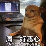 包谷考考