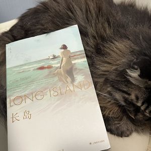 29. 人生就是悬而不决，左右摇摆的自我折磨 | 《长岛》（一）