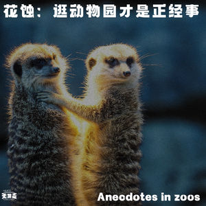 vol.415 花蚀：逛动物园才是正经事