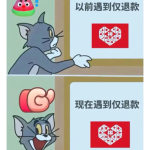 薅羊毛还是抢流量？保护买家还是驱逐劣币？全体电商平台加入仅退款政策之殇