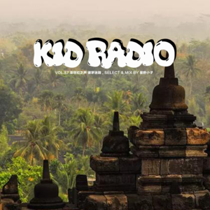 亚非拉之声：婆罗迷踪