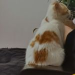 小詹今天早睡