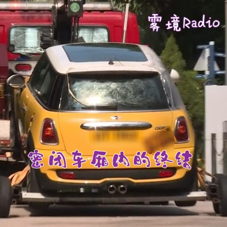 3.密闭车厢内的终结——香港瑜伽球杀妻案 episode artwork