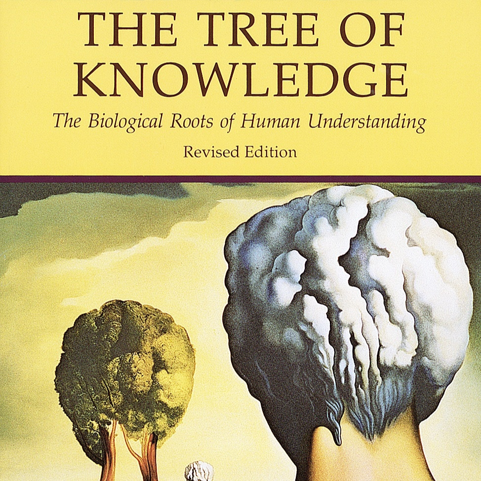 《知识之树》/《The Tree of Knowledge》 episode artwork