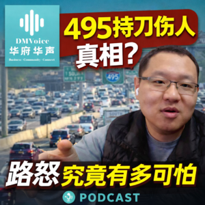 【华府新鲜事】495持刀伤人事件,路怒究竟多可怕