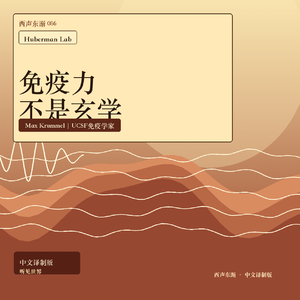 免疫力不是玄学:睡眠、压力和记忆怎样改变身体防线?|中文译制版