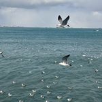 吃吃喝喝看世界