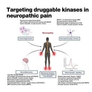 1395-Druggable Kinases in Neuropathic Pain Management