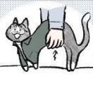 叶椰耶