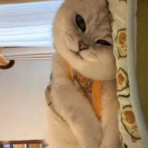 资本市场舆情解读【9月26日】