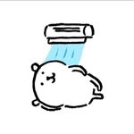 Rainie1247
