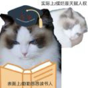 你好鲨鱼