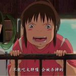 喜欢龙猫的中年妇女