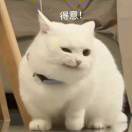 佳卉_YxsO
