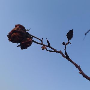 设计师岗位名称变迁，让设计回归设计