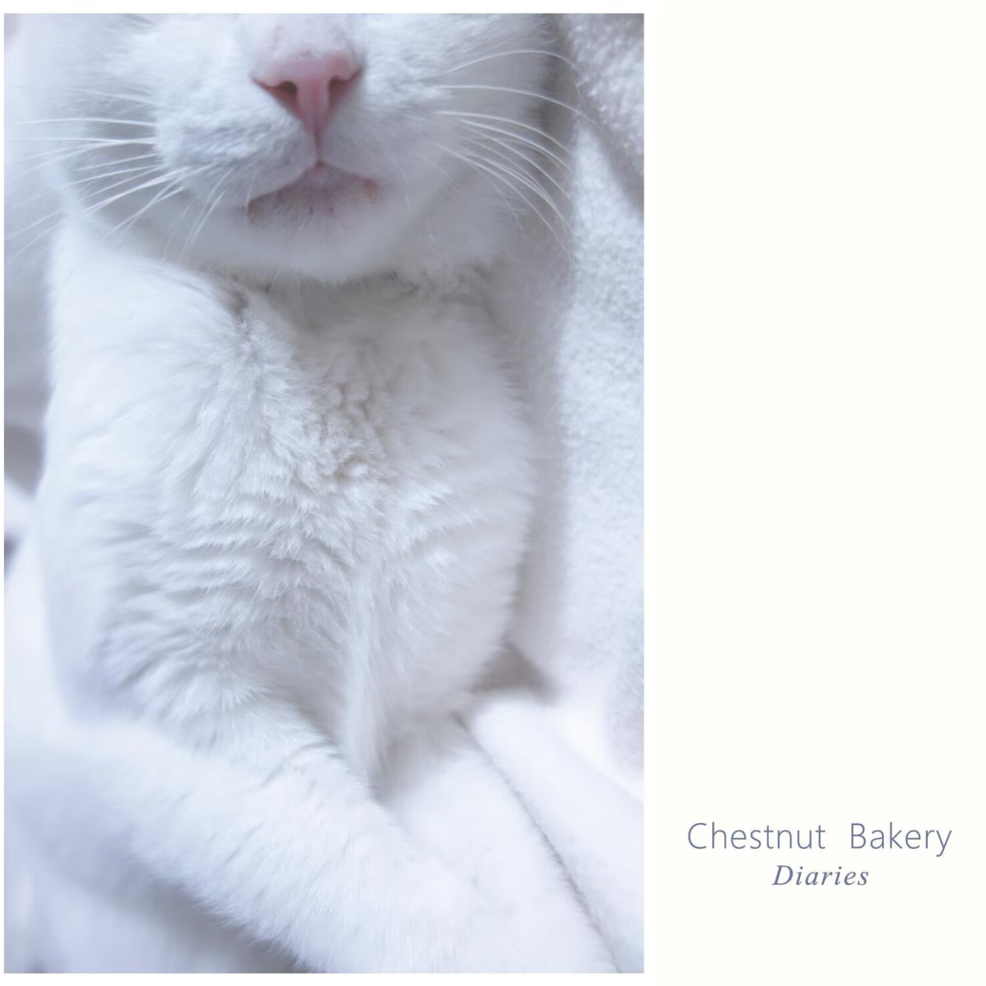 chestnut bakery - Diaries episode artwork