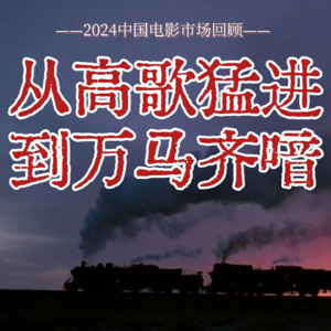 2024中国电影市场回顾：从高歌猛进到万马齐喑