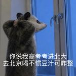 高考特辑｜出分后，普通女娃如何选专业、城市、报考院校？
