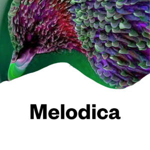 Melodica.2025.02.03