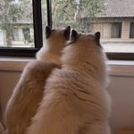 “开好车的就是好人吗？”