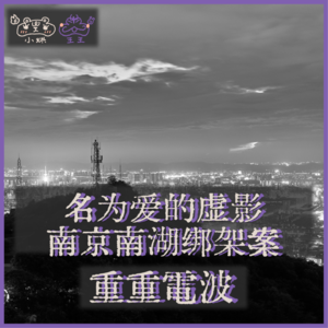 E33.名为爱的虚影:南京南湖绑架案
