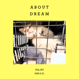 vol.567:有一种,“要去世界各地发呆”的想法~