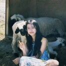 MELODY_Svc3