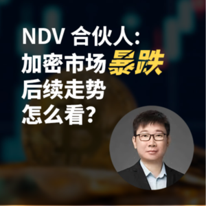 NDV 合伙人: 加密市场暴跌，后续走势怎么看？