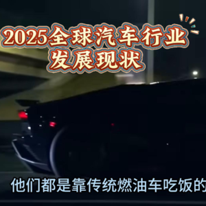 2025全球汽车行业生死局