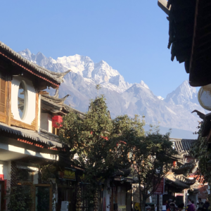 云南丽江旅游避坑攻略+旅居创业不可不知的业内常识