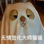 普通女巫读者