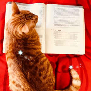 雅思口语Part 3高分语料 | Maps 地图