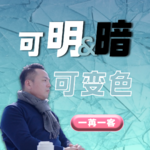 一家玩光的公司，被比亚迪蔚来定点并投资