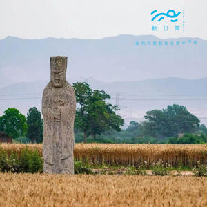 崩塌的时候，是同人文救了我｜人生旅程 01