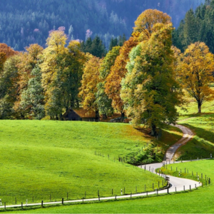 EP43 商品价值策略