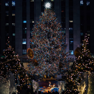 EP26｜年度餐厅测评，和爸妈一起旅行、波士顿两天一夜；一起回顾今年感恩的三件事，圣诞快乐！