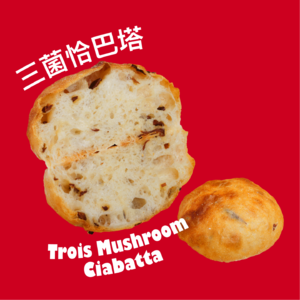 「三菌恰巴塔」的迷幻菌丝声波发酵