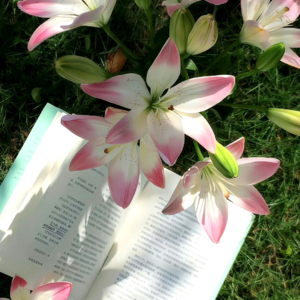 VOL459.如果一个人不能象征性地、合理地表达自己的攻击性，就会出现心理问题。