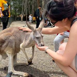 Vol.10 澳大利亚🇦🇺 | 地球上的好日子可能都让澳洲人过了吧