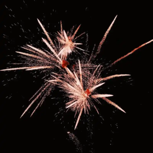 E17 请回答2024：生活又教会了我们什么