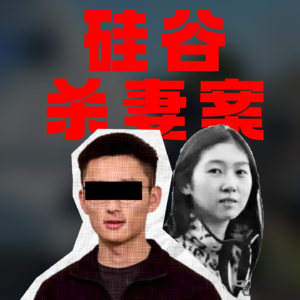 “谷歌工程师陈立人杀妻案：崩塌的精英剧本”