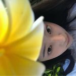 苏菲的心事