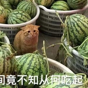 爱吃各种瓜的猹