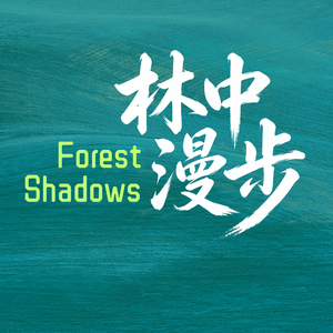 EP19. 别总往外跑了！你住的城市，可能好玩100倍